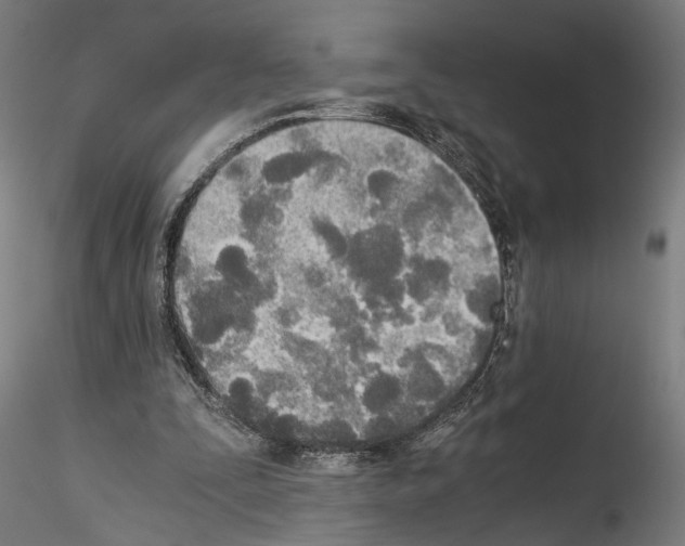 X0000114540295200911301208