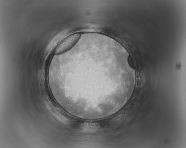 X0000114540296200911301208