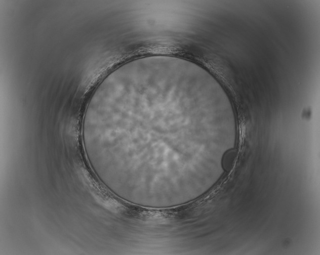 X0000114540297200911301208