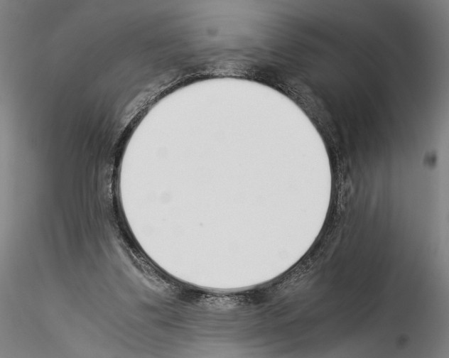 X0000114540299200911301208