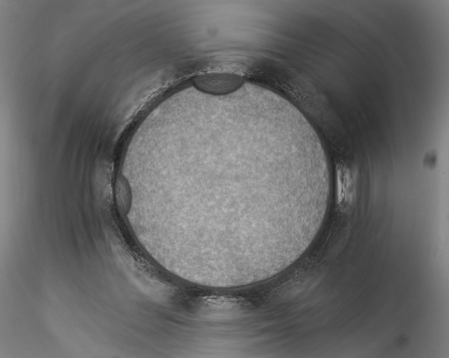 X0000114540300200911301208