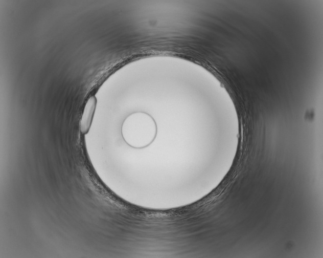 X0000114540301200911301208