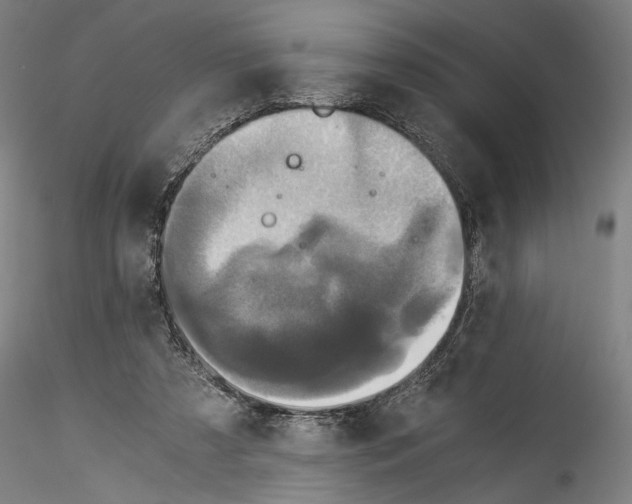 X0000114540305200911301208