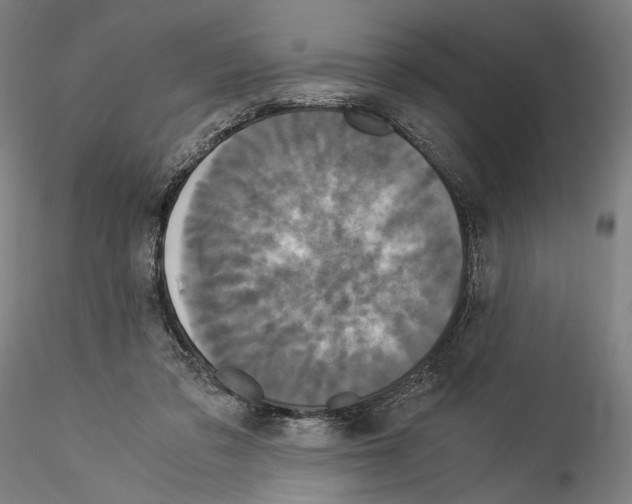 X0000114540309200911301208