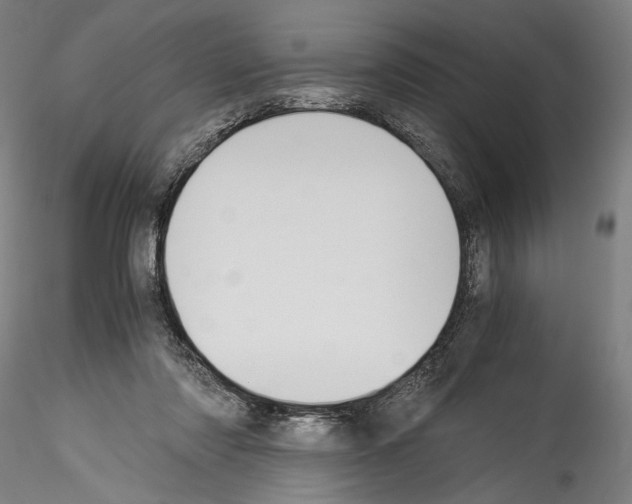 X0000114540310200911301208