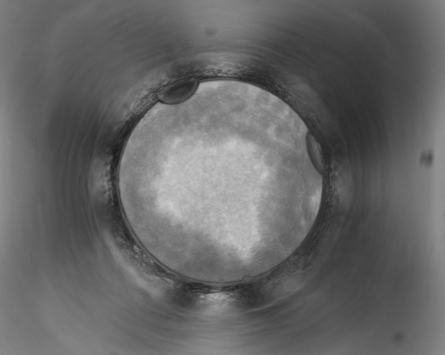 X0000114540312200911301208