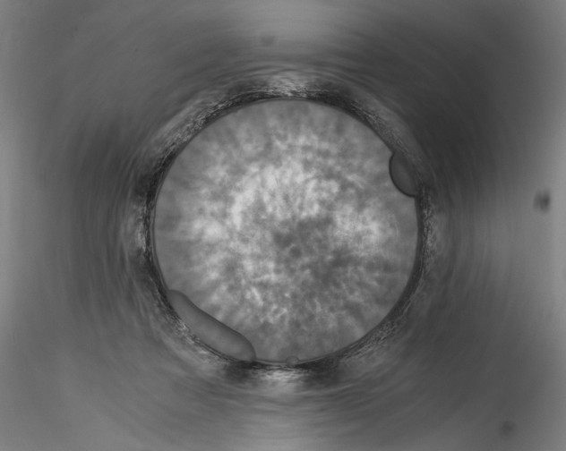 X0000114540313200911301208