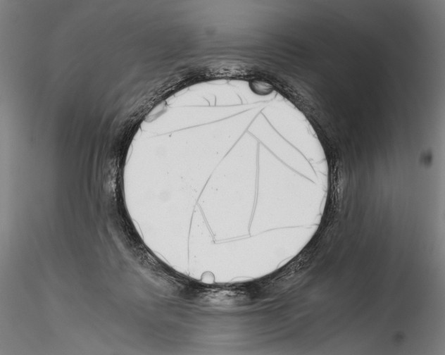 X0000114540315200911301208