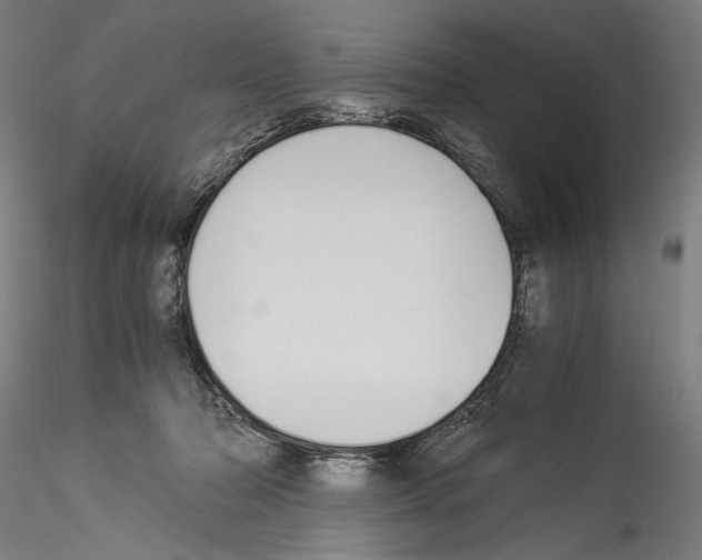 X0000114540318200911301207