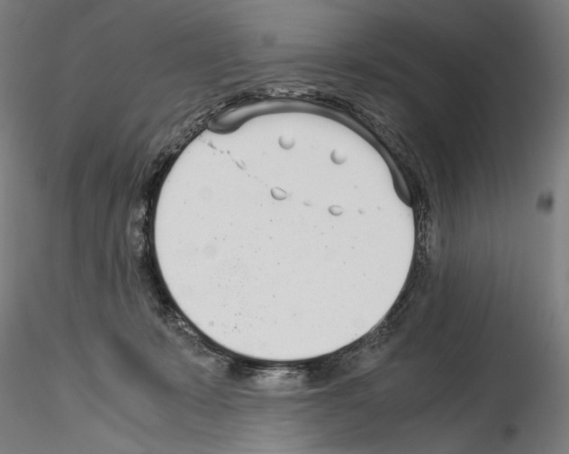 X0000114540319200911301207