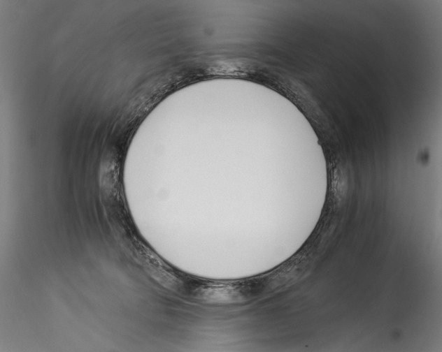 X0000114540322200911301207