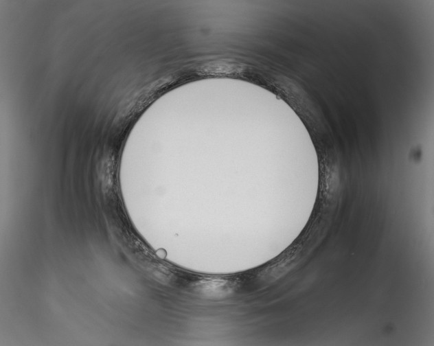 X0000114540326200911301207