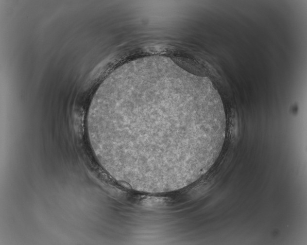 X0000114540332200911301207