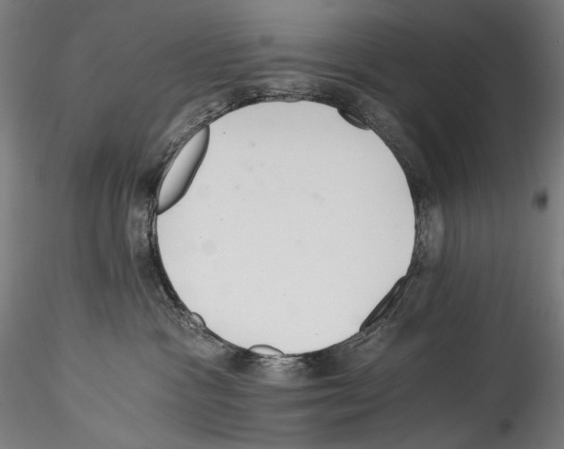 X0000114540333200911301207