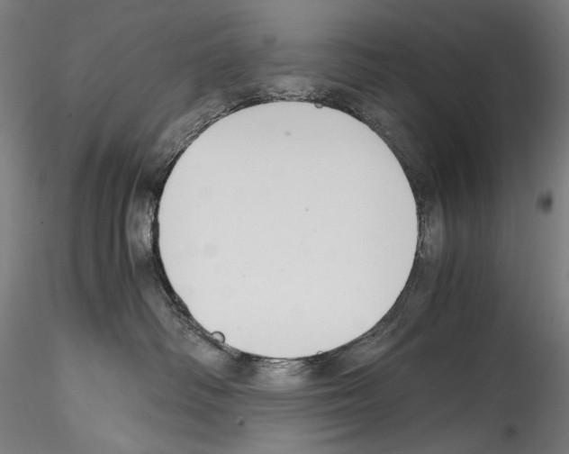 X0000114540334200911301207