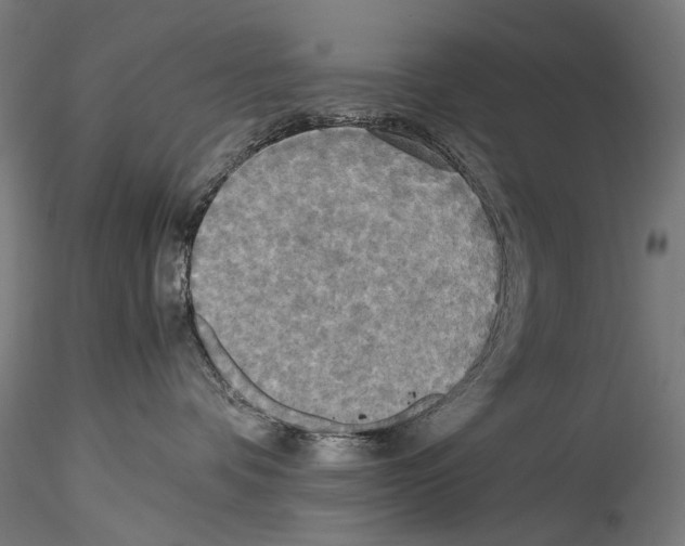 X0000114540336200911301207