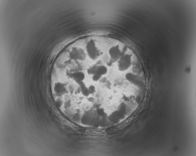 X0000114540337200911301207