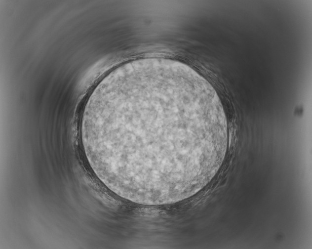 X0000114540339200911301207