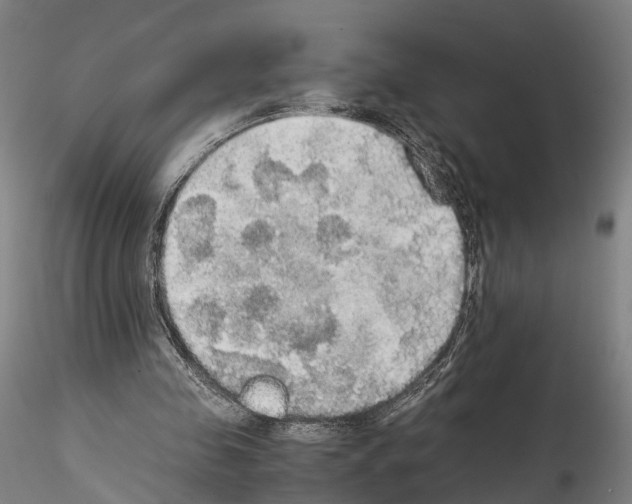 X0000114540341200911301207