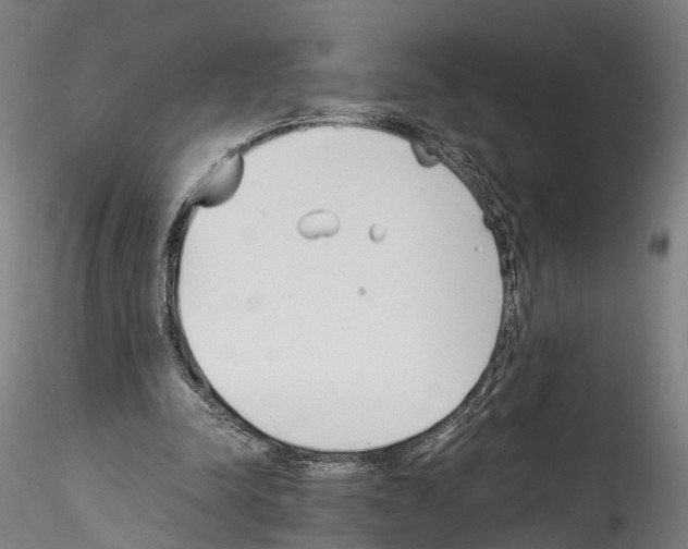 X0000114540342200911301207