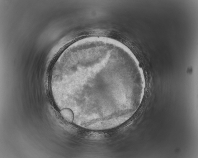 X0000114540343200911301207