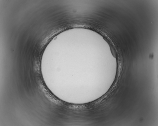 X0000114540345200911301207