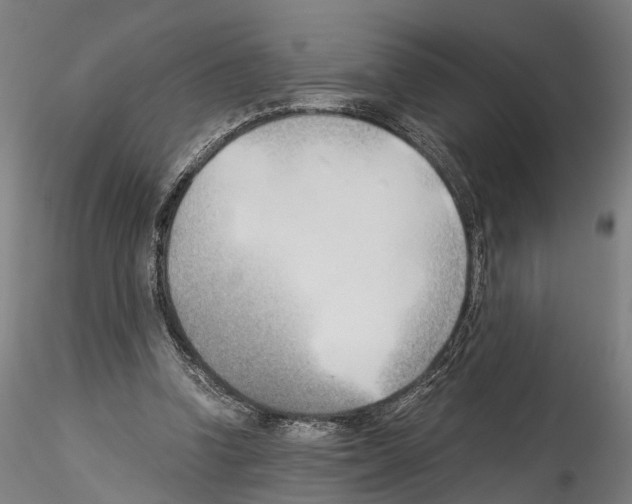 X0000114540346200911301207