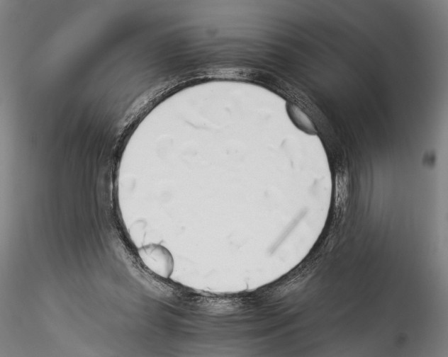 X0000114540349200911301207