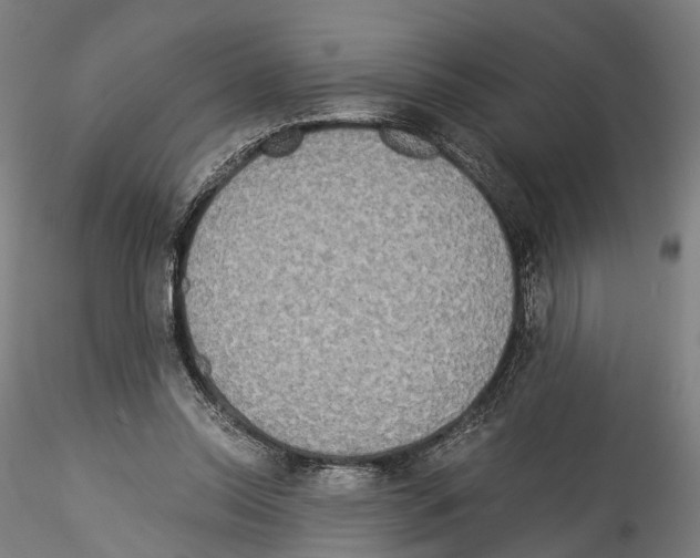 X0000114540350200911301207