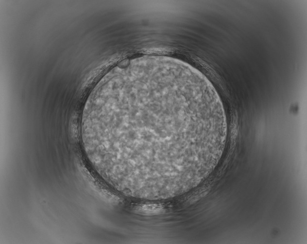 X0000114540353200911301207