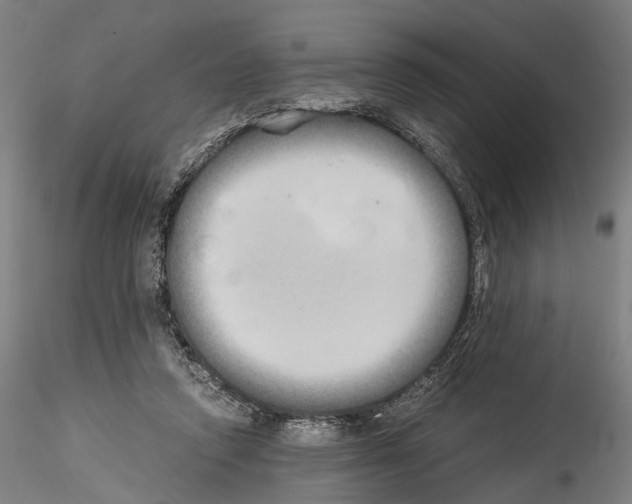 X0000114540354200911301207