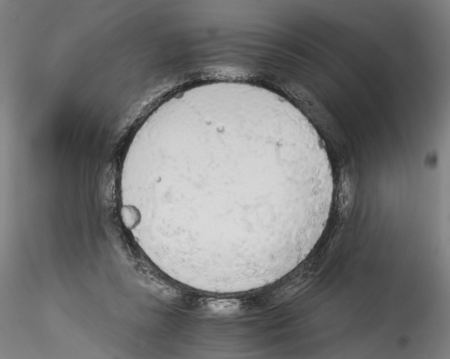 X0000114540355200911301207