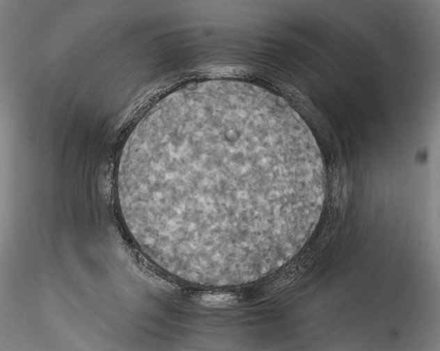 X0000114540357200911301207