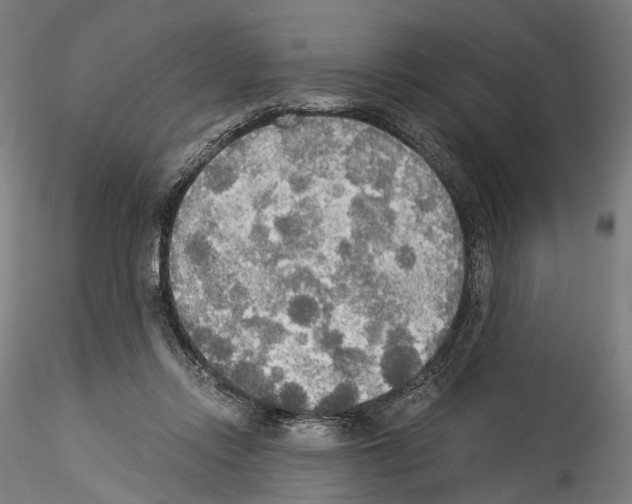 X0000114540358200911301207