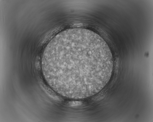 X0000114540361200911301207