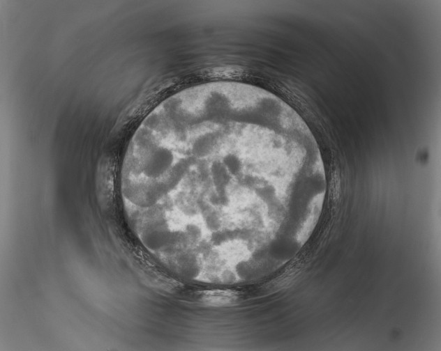 X0000114540363200911301207