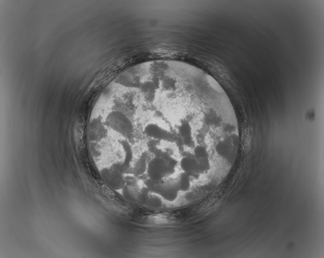 X0000114540365200911301207