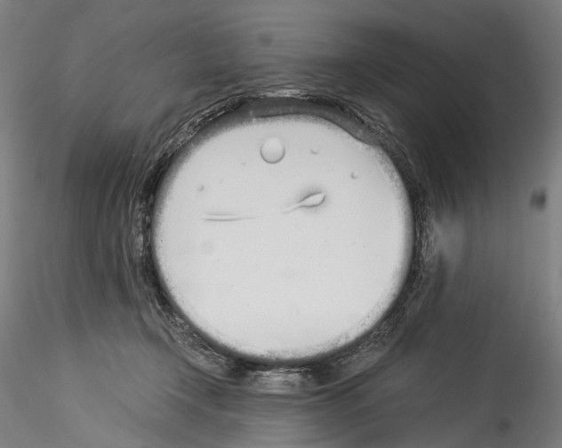 X0000114540366200911301207