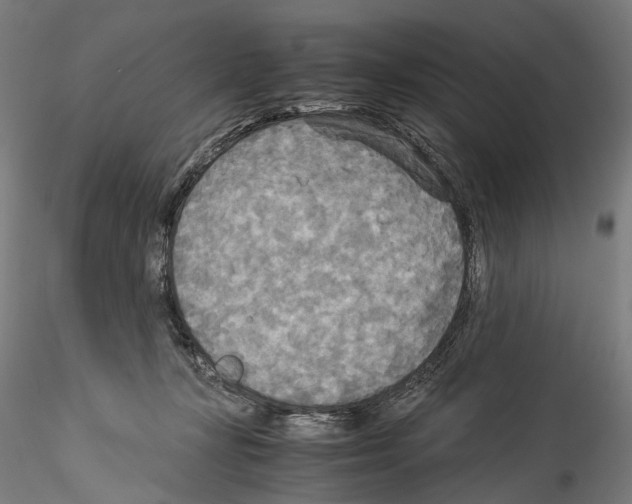 X0000114540367200911301207