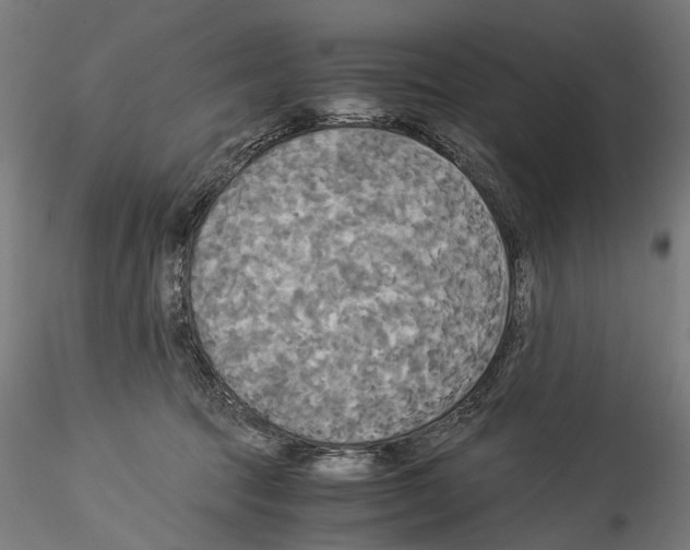 X0000114540369200911301207