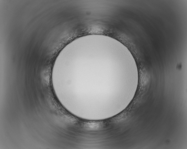 X0000114540370200911301207