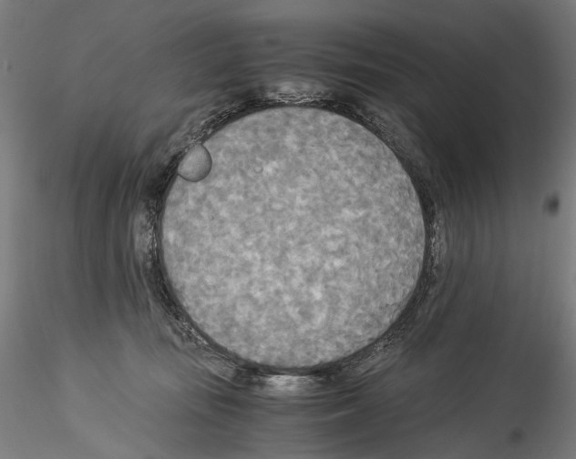 X0000114540371200911301207