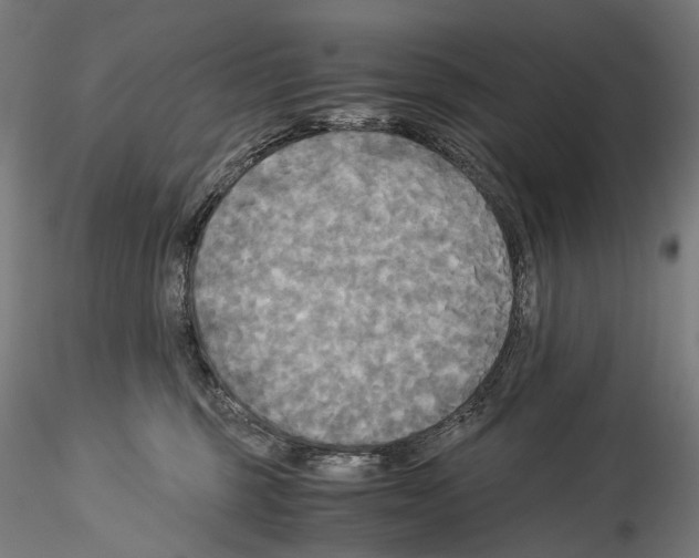 X0000114540375200911301207