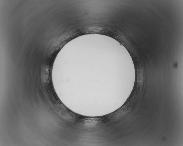 X0000114540378200911301207