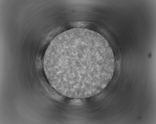 X0000114540381200911301207