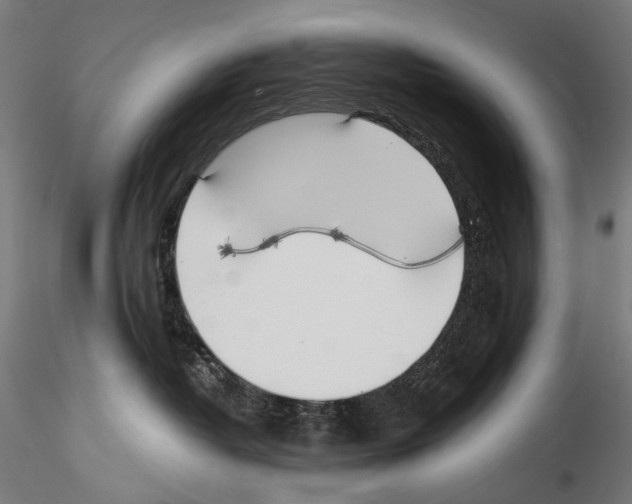 X0000114540382200911301207