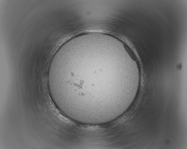 X0000114540385200911301207