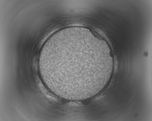 X0000114540386200911301207