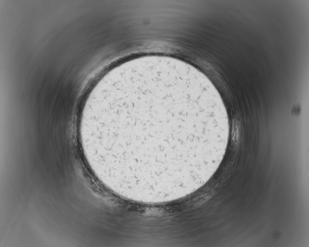 X0000114540388200911301207