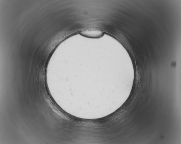 X0000114540389200911301207